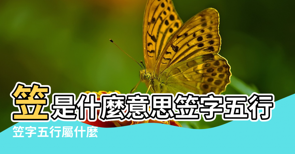 【五行笠字屬性】笠是什麼意思笠字五行屬什麼 |笠字五行屬什麼 |笠字五行屬什麼 |