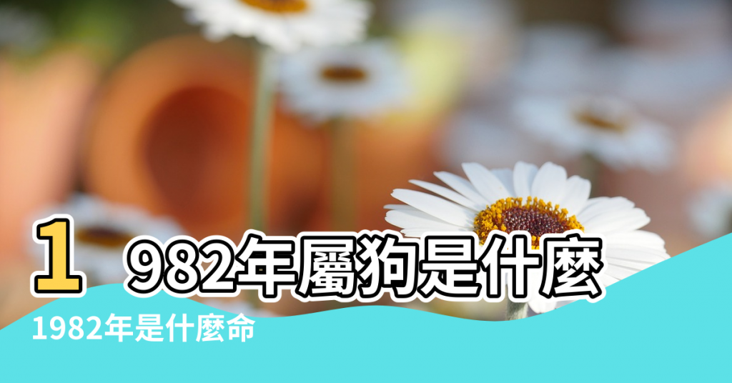 【生肖1982五行是什麼】1982年屬狗是什麼命 |1982年是什麼命 |82年出生五行屬什麼 |