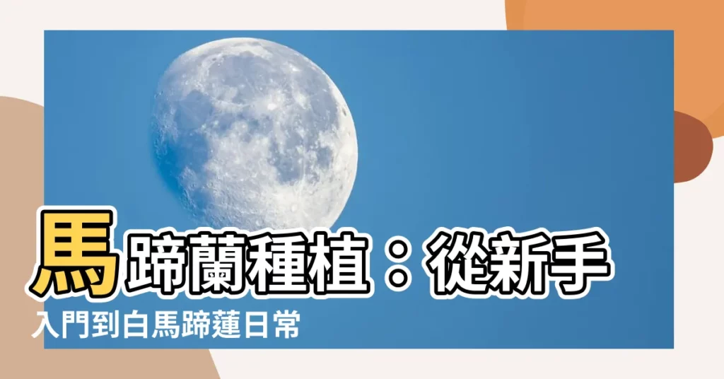 【馬蹄蘭 種植】馬蹄蘭種植：從新手入門到白馬蹄蓮日常養護攻略