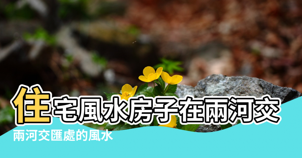 【兩條河交匯處風水如何】住宅風水房子在兩河交匯處好嗎 |兩河交匯處的風水 |住在兩條河交匯處的半島上是什麼風水 |