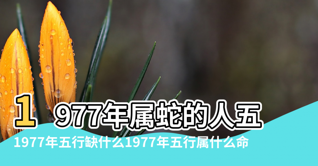 【1977年屬蛇五行缺啥】1977年属蛇的人五行缺什么佩戴哪些属性比较好 |1977年五行缺什么1977年五行属什么命 |1977年属蛇的五行缺什么命运好不好 |