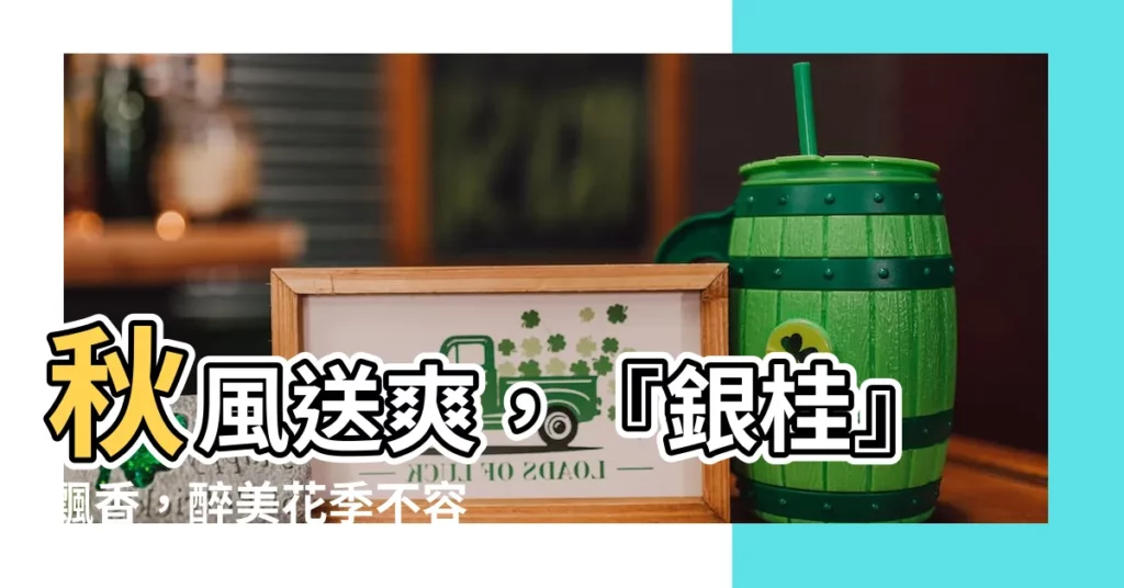 【銀桂】秋風送爽，『銀桂』飄香，醉美花季不容錯過！