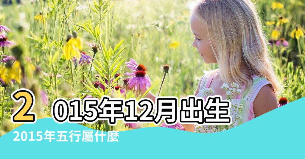 【2015年12月五行】2015年12月出生的男孩五行缺什麼 |2015年五行屬什麼 |12個月解析 |