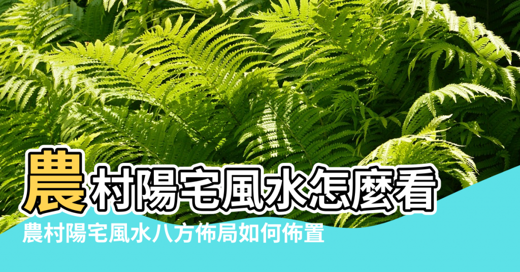 【農村陽宅風水八方佈局】農村陽宅風水怎麼看 |農村陽宅風水八方佈局如何佈置 |農村陽宅風水佈局如何佈局風水好 |