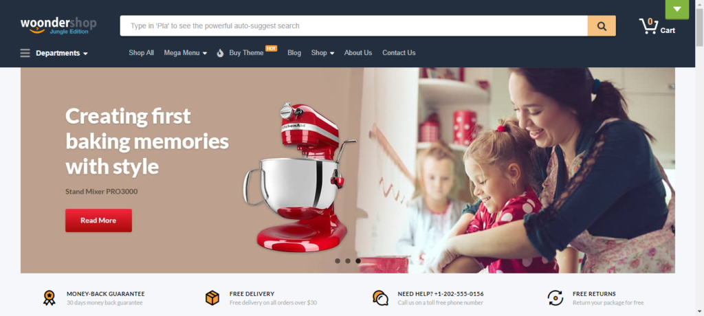 WordPress WooCommerce theme