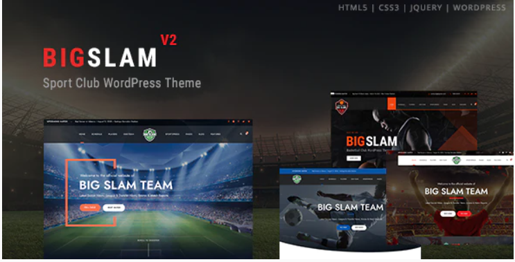 WordPress themes for sports