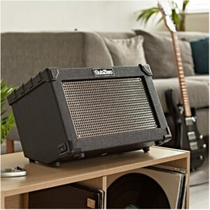 SubZero Battery Powered Portable Busking Amp