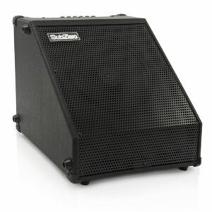 SubZero DR-60 Drum / Keyboard Amp