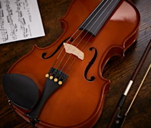 Stentor-Violin