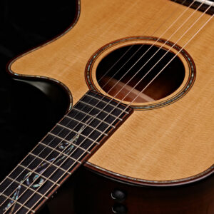 Taylor-guitar-and-strings