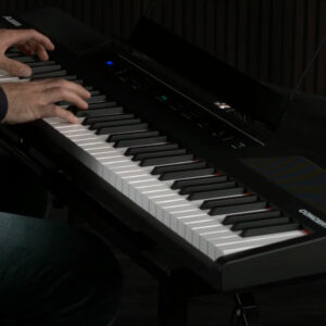 Alesis-Concert-in-action