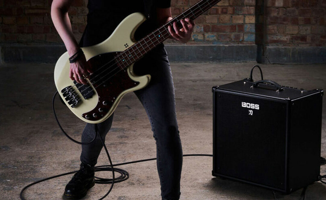 Which Bass Amp is Right for You?