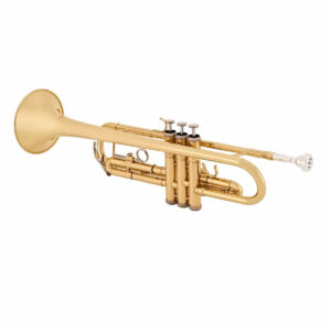 The trumpet: valves, keys, mutes and how to hold, play and tune it