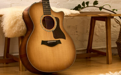 The Taylor 500 Series & Its Unique Tonewoods