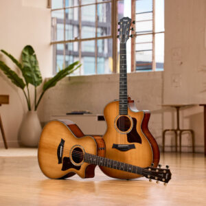The Taylor 512ce and 514ce electro acoustic guitars propped next to each other in a spacious room with wooden floor and a plant in the background