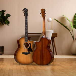 The Taylor 514ce and 512ce electro acoustic guitars stood together, showing the front and back, in a spacious room with plants behind them