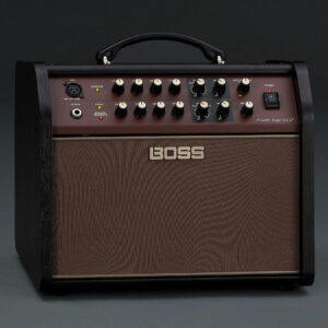 Boss Acoustic Singer Live LT Amplifier