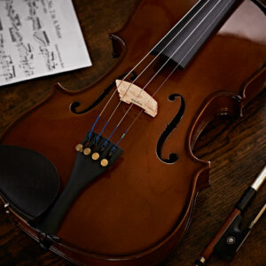 The strings and bridge of the Cremona SV130 Violin Full Size