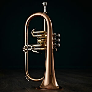 7 Brass Instruments: Differences in sound & playing style – t.blog