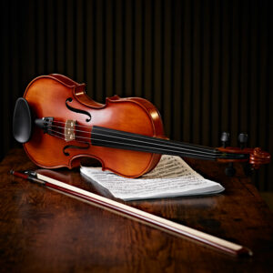 Hidersine Vivente Finetune Violin Outfit, Full Size