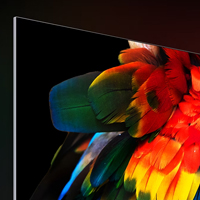 Brighter, Lifelike OLED