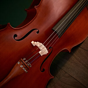 Double bass strings
