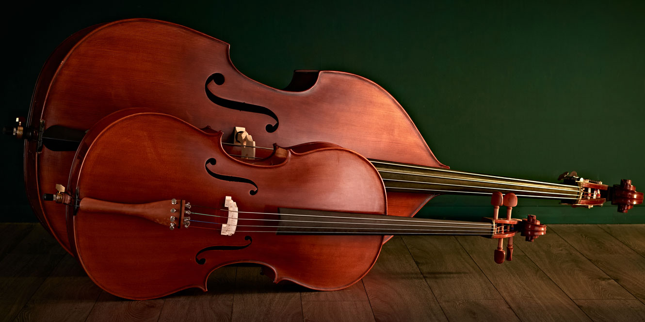 Cello vs. Double Bass – What's the Difference?