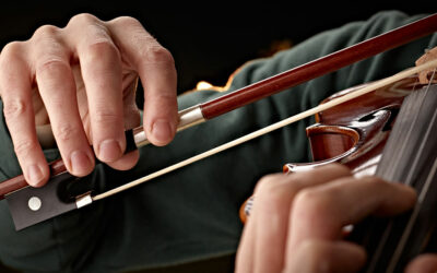 The 13 Best Violin Bows for a Smooth and Articulate Sound