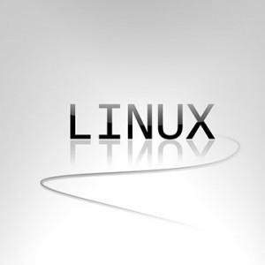 With_Linux