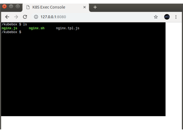 Kubernetes Exec Terminal