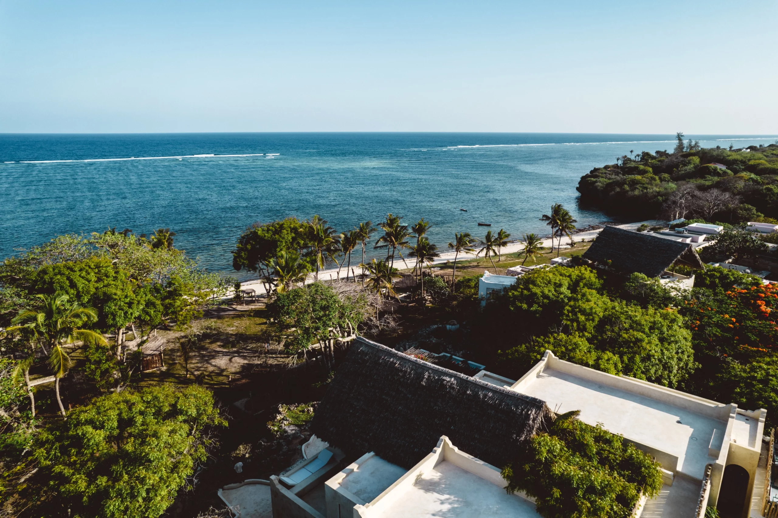 Seafront homes surrounded by lush green trees