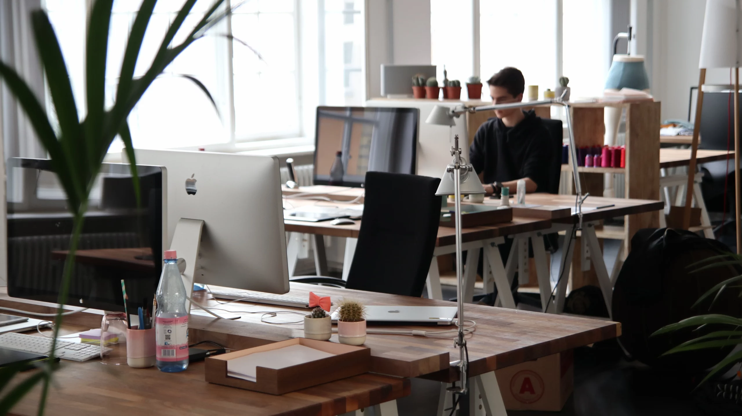 Employee sitting second row  by a big window in an open concept office,  surrounded by natural wood desks and plants.