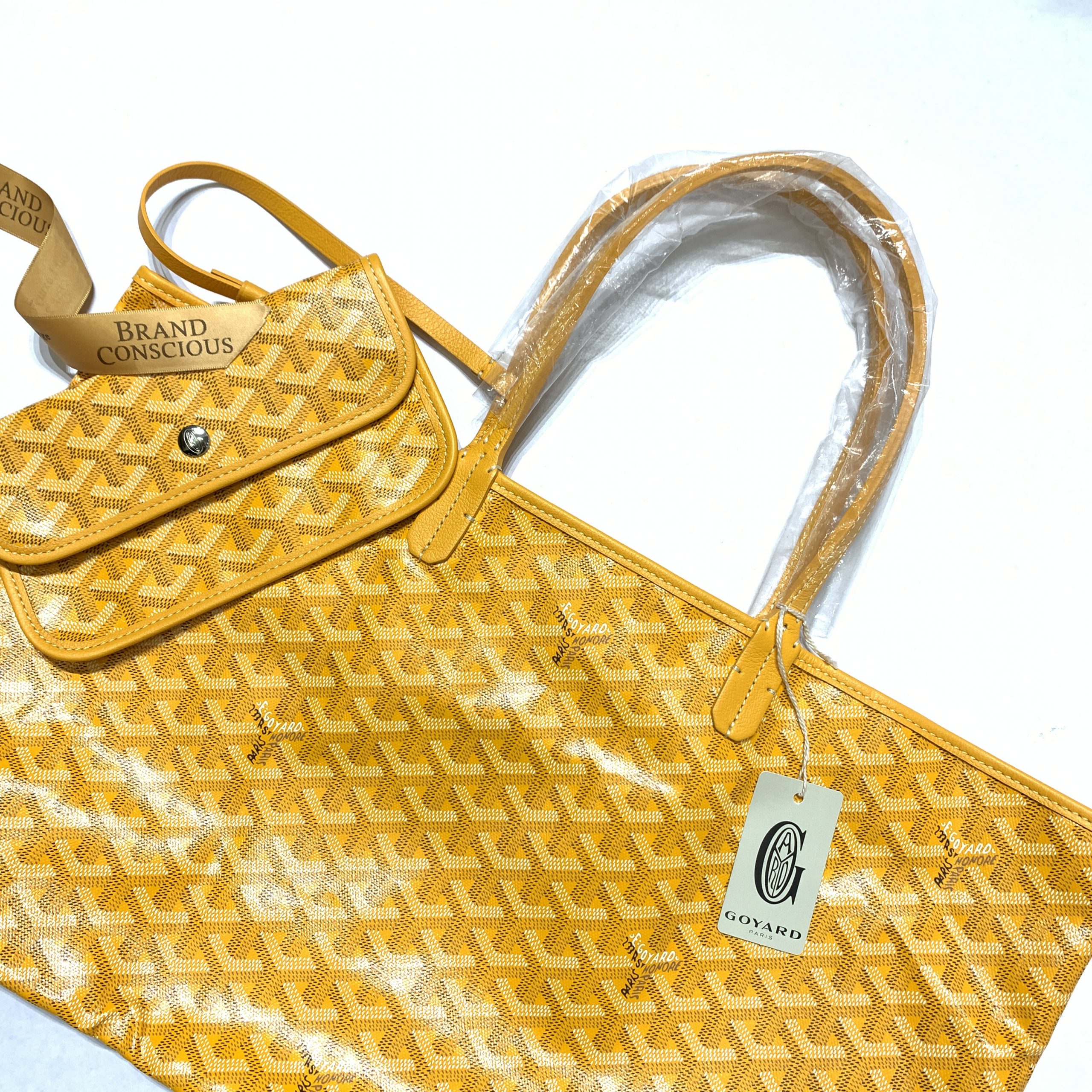 Goyard Saint Louis PM Tote Bag in Orange