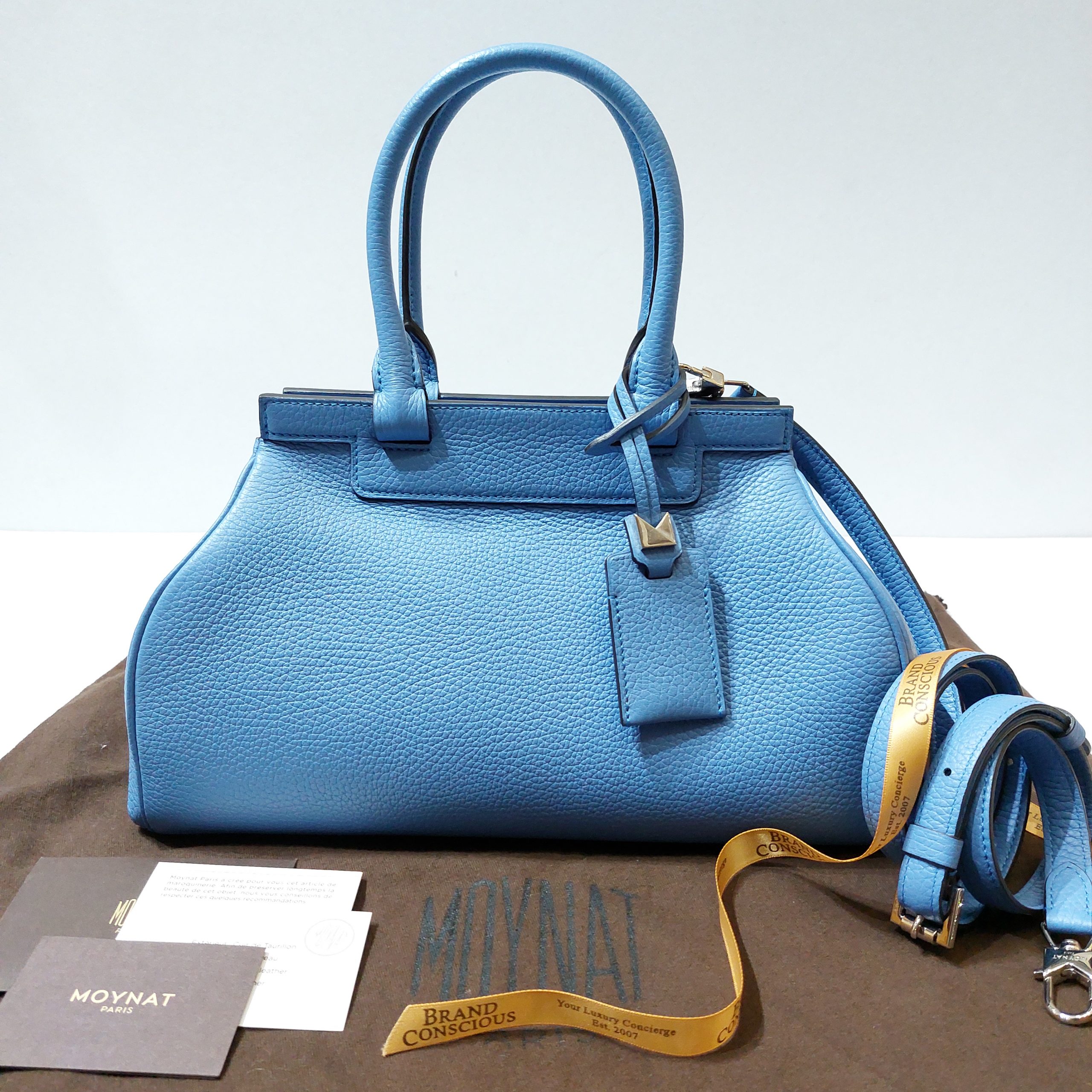 Moynat Blue Taurillon Leather Rejane PM Bag – Boutique LUC.S