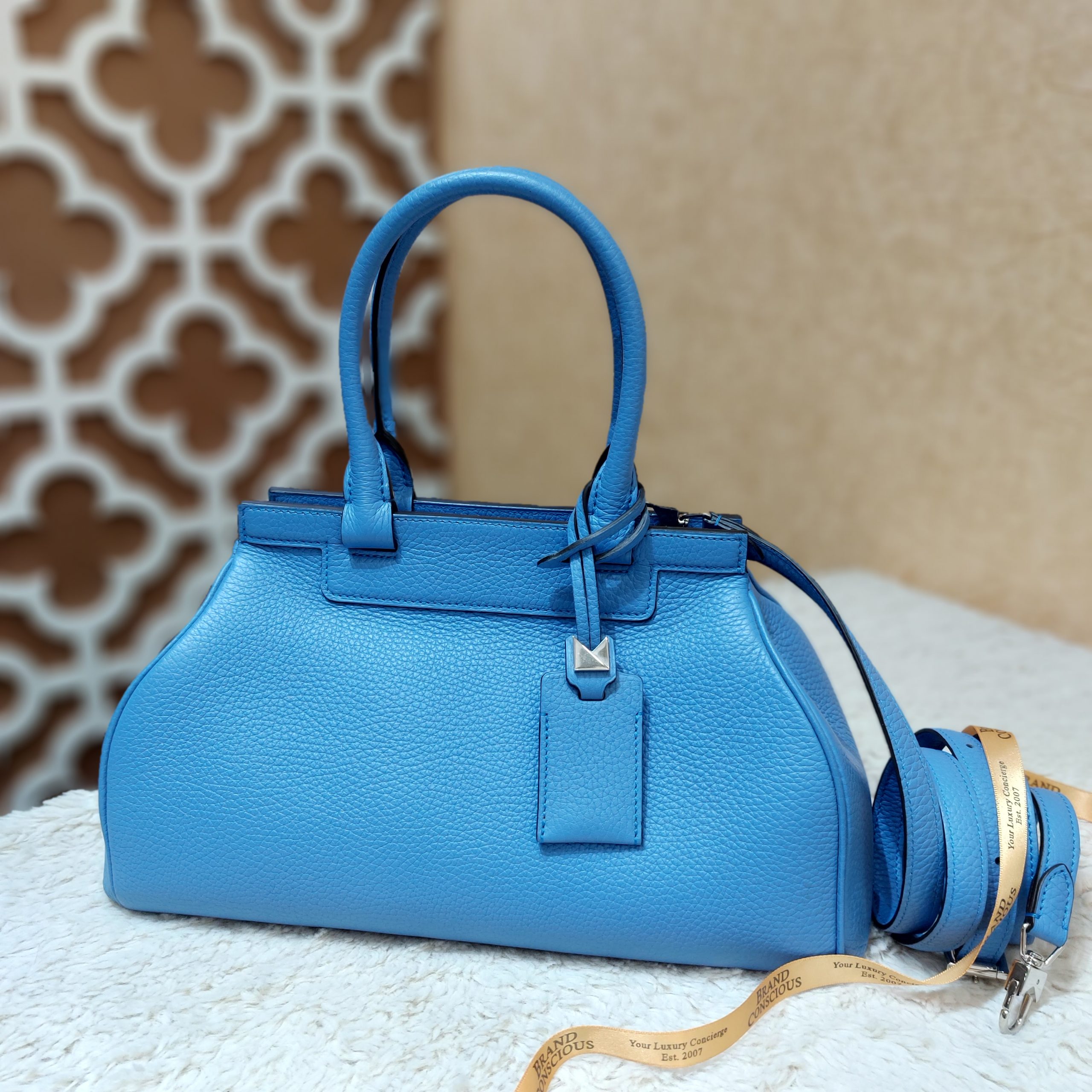 Moynat Pauline Bag Review