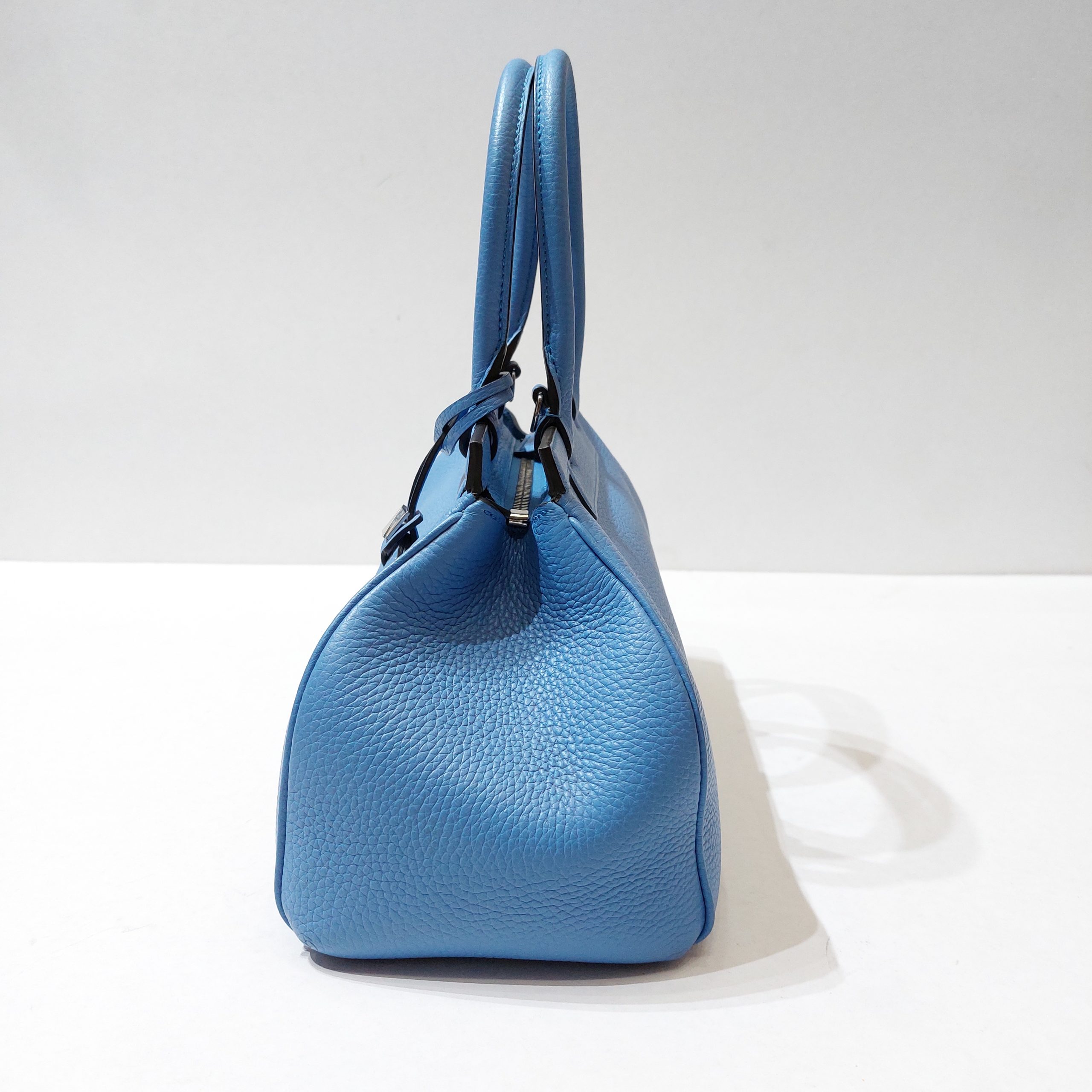 Moynat Pétite Réjane Handbag in Blue