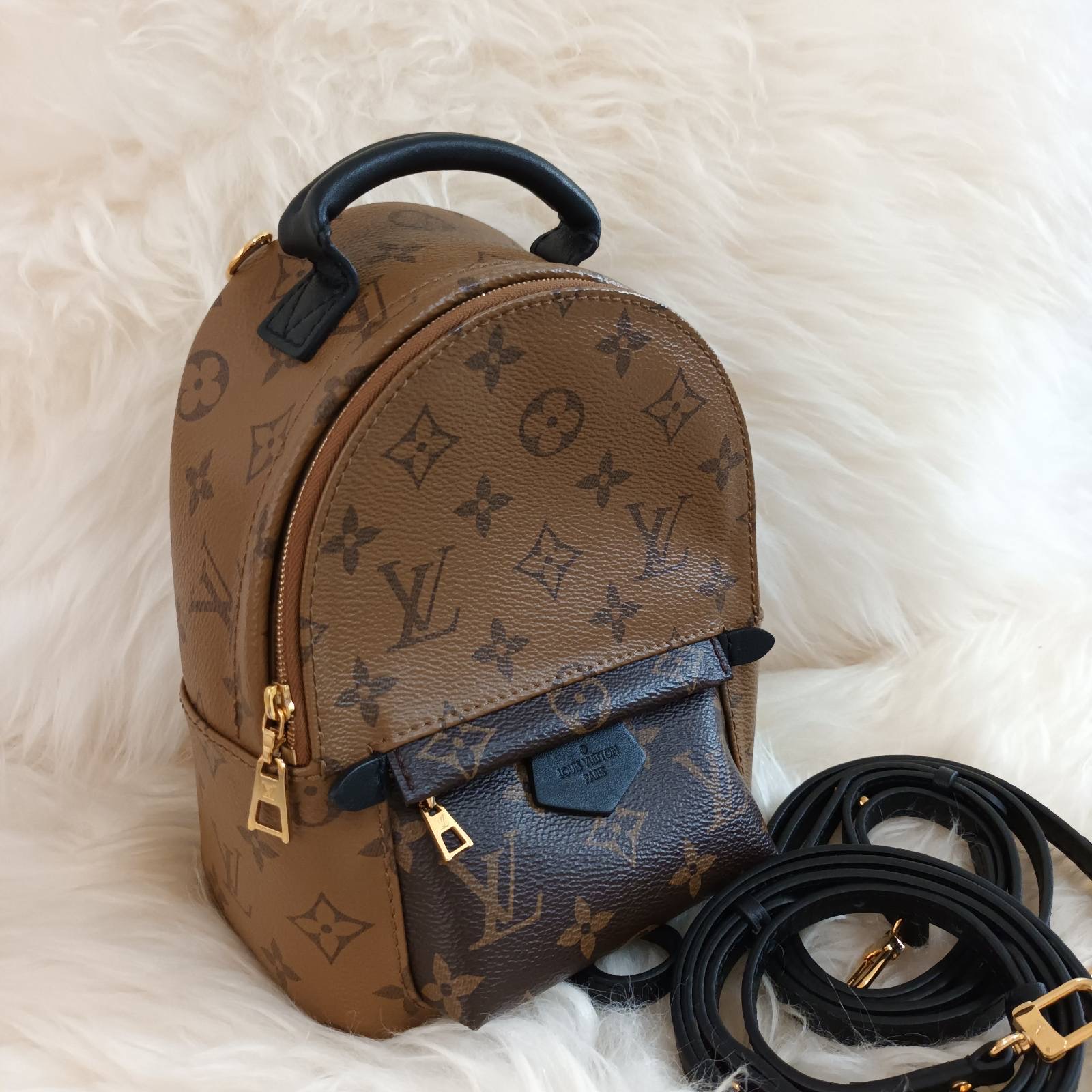 Louis Vuitton Reverse Monogram Mini Palmsprings Backpack