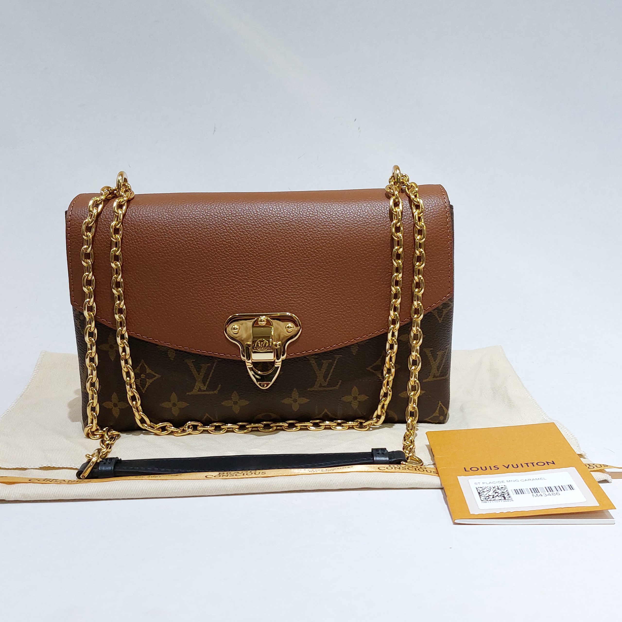 LL Armcandy of the Week: Louis Vuitton Saint Placide Bag