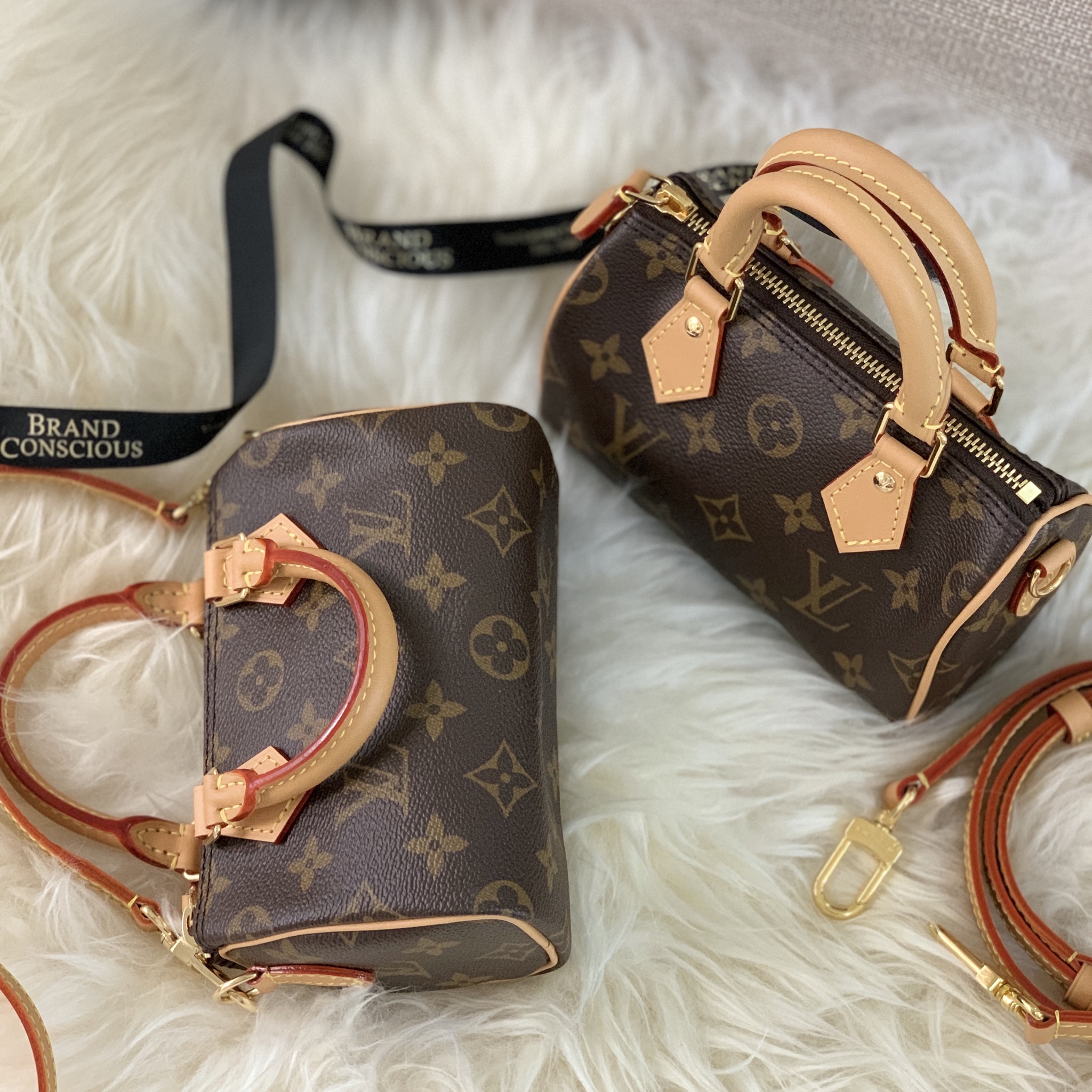 Louis Vuitton Monogram Nano Speedy - BrandConscious Authentics