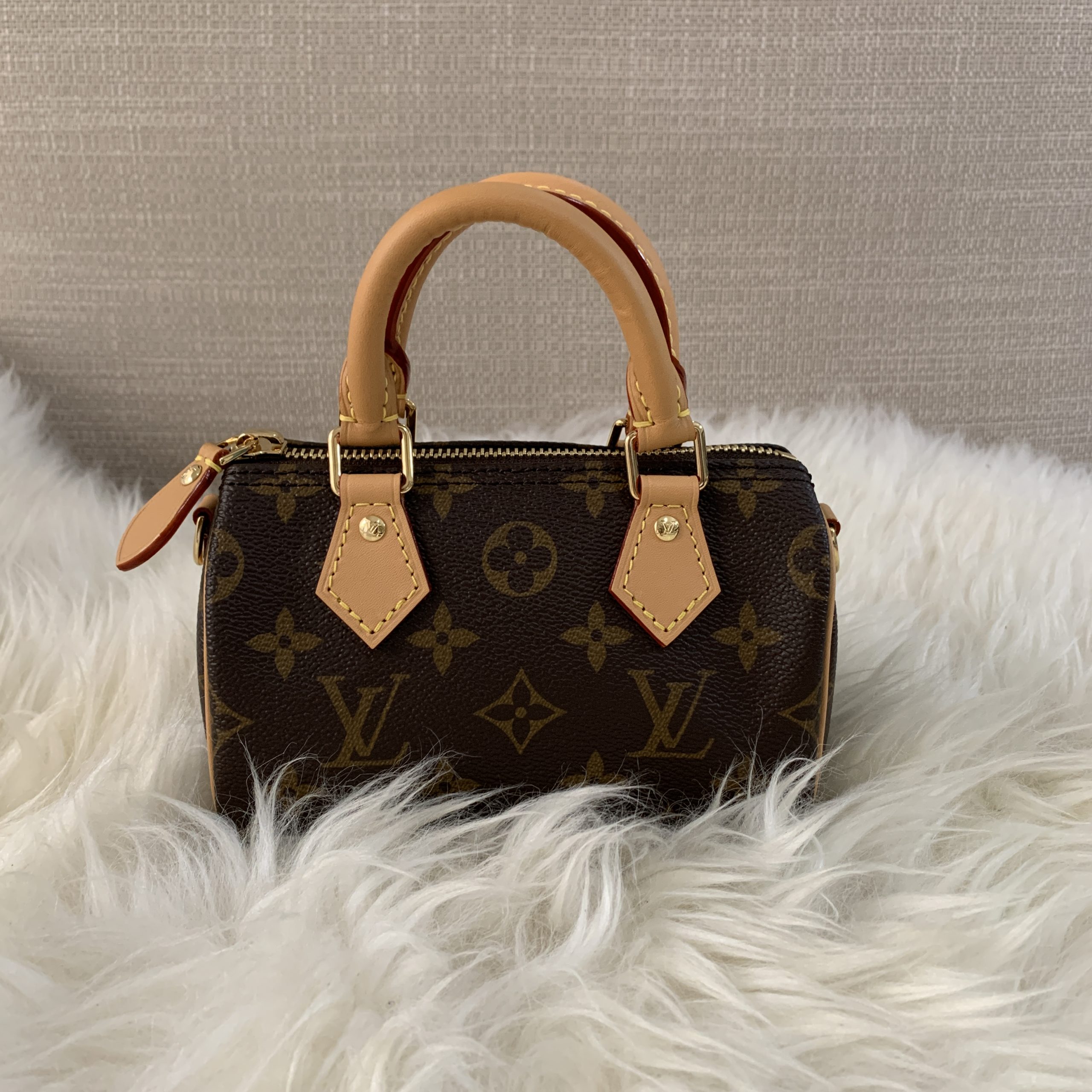 Louis Vuitton Nano Speedy Monogram – Coco Approved Studio