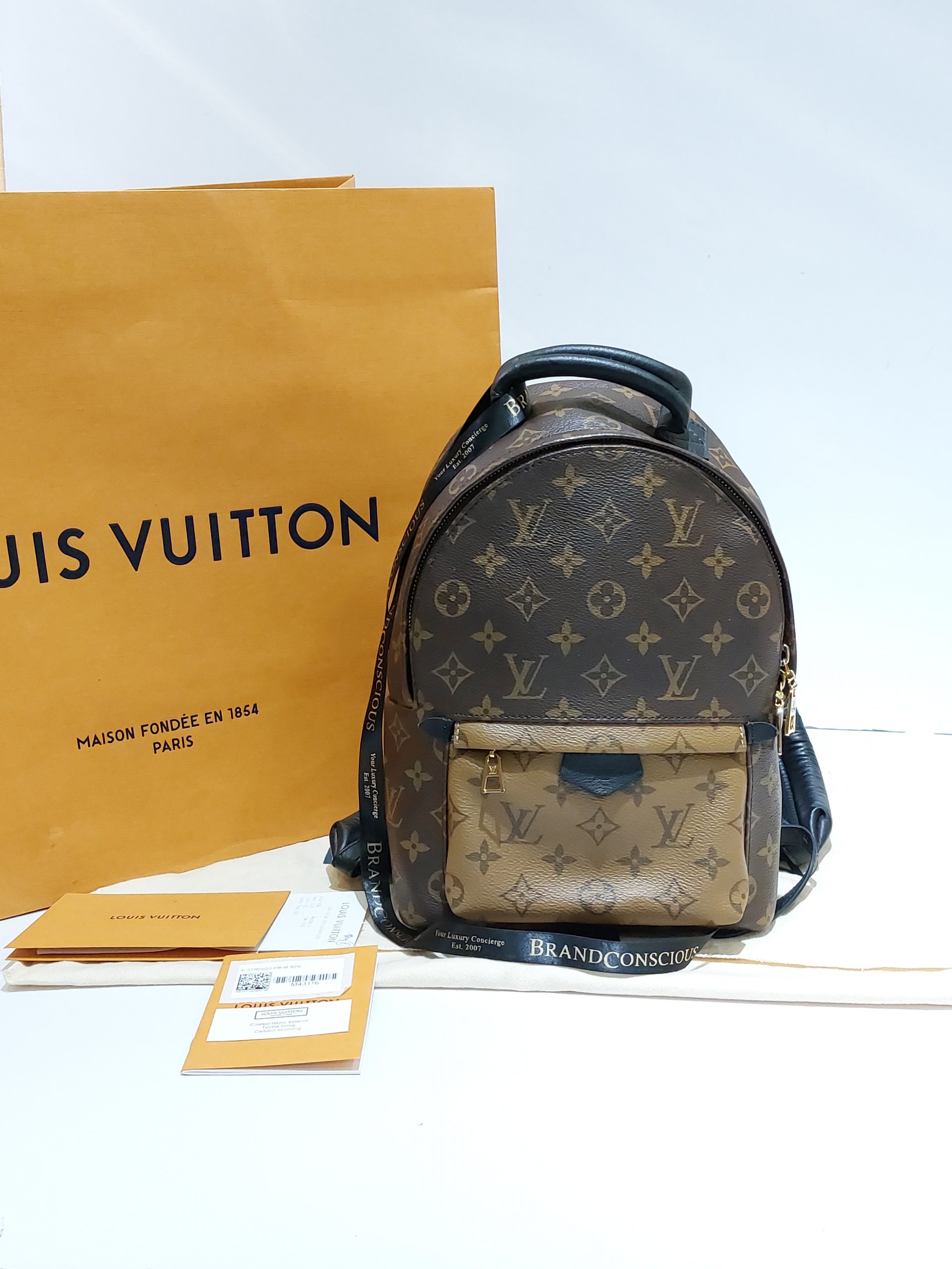 Louis Vuitton Reverse Monogram Mini Palmsprings Backpack - BrandConscious  Authentics