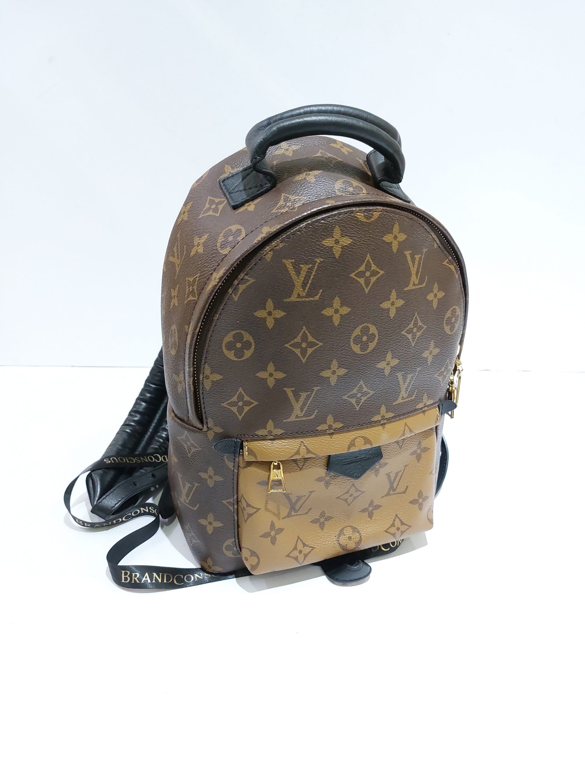 Louis Vuitton Palm Springs PM Monogram Reverse, Luxury, Bags & Wallets on  Carousell