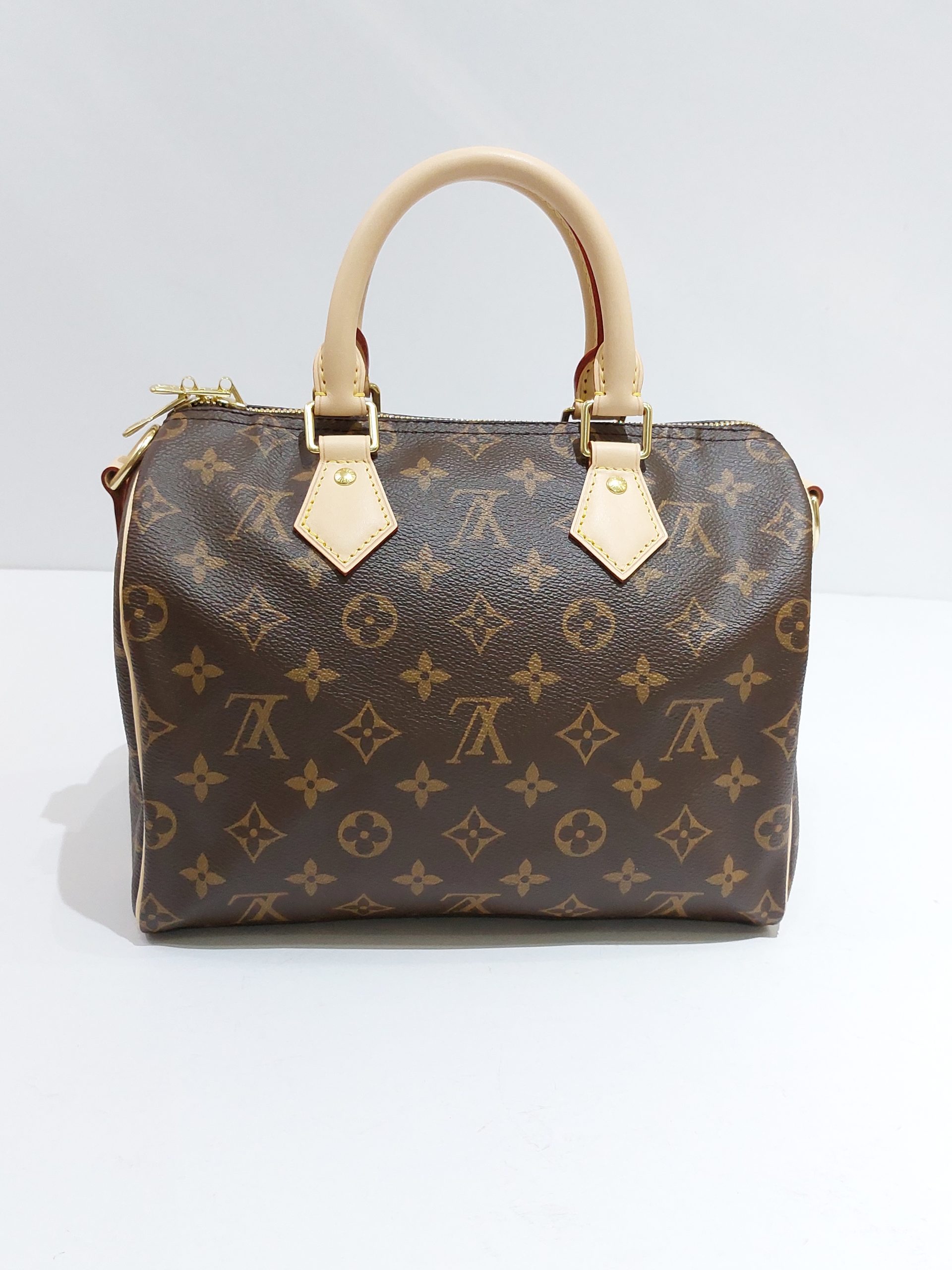 Speedy Bandoulière 25 Other Monogram Canvas - Handbags