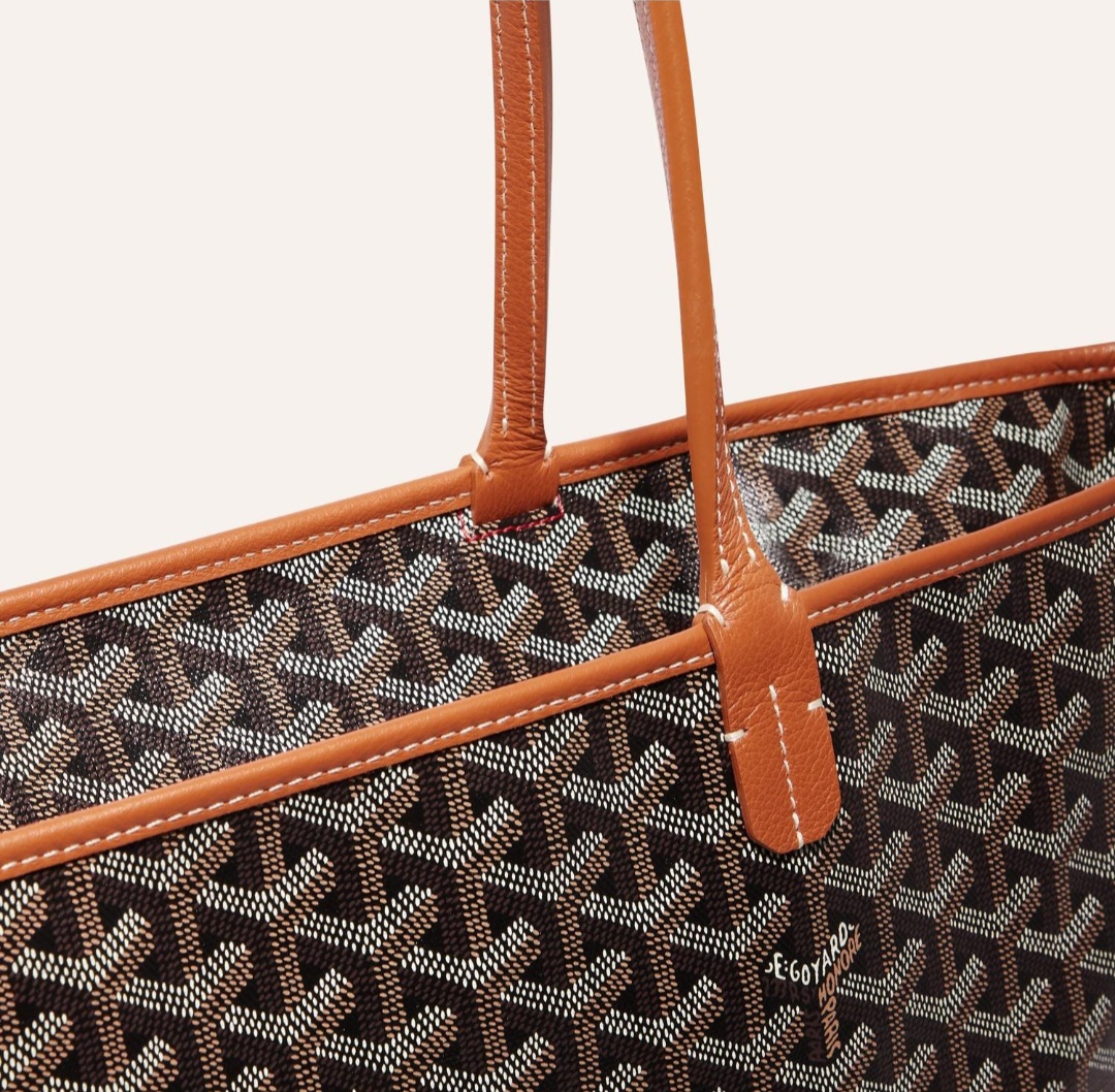 Goyard Artois MM Bag is Your Everyday Partner In Crime! 