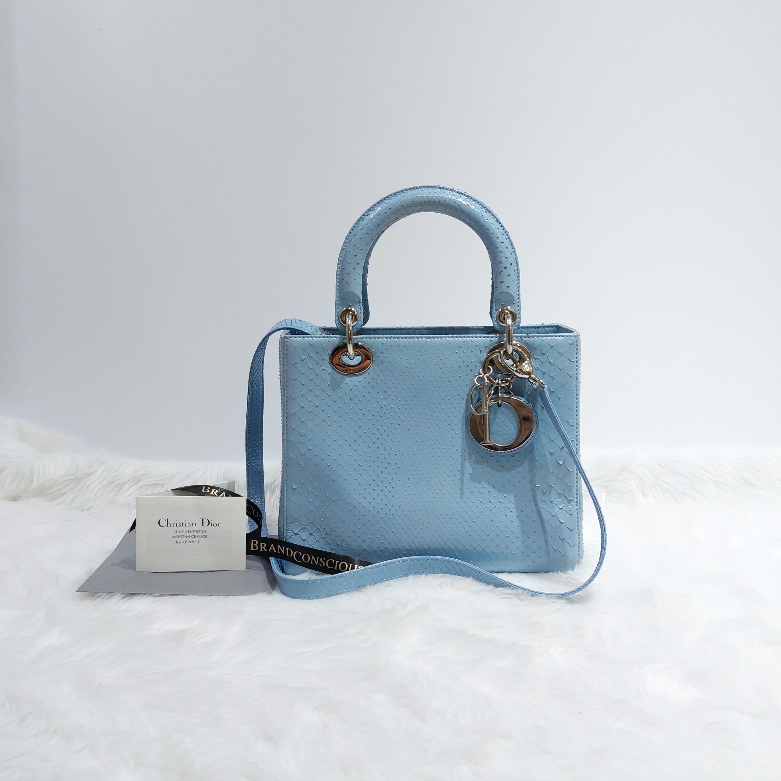 Vintage Dior Baby Blue Snakeskin Mini Top Handle Bag – Treasures of NYC