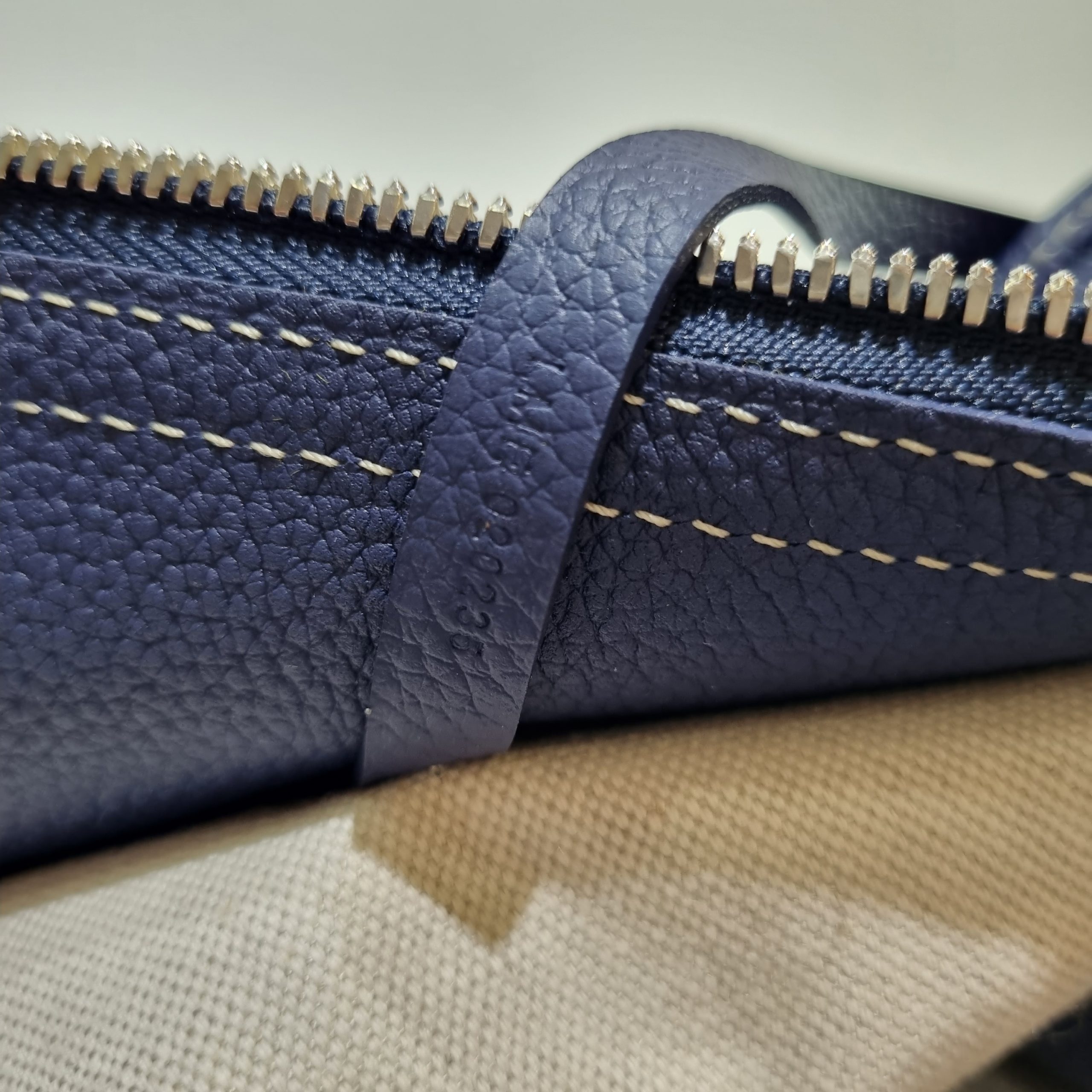 Hardy cloth tote Goyard Blue in Cloth - 24565979