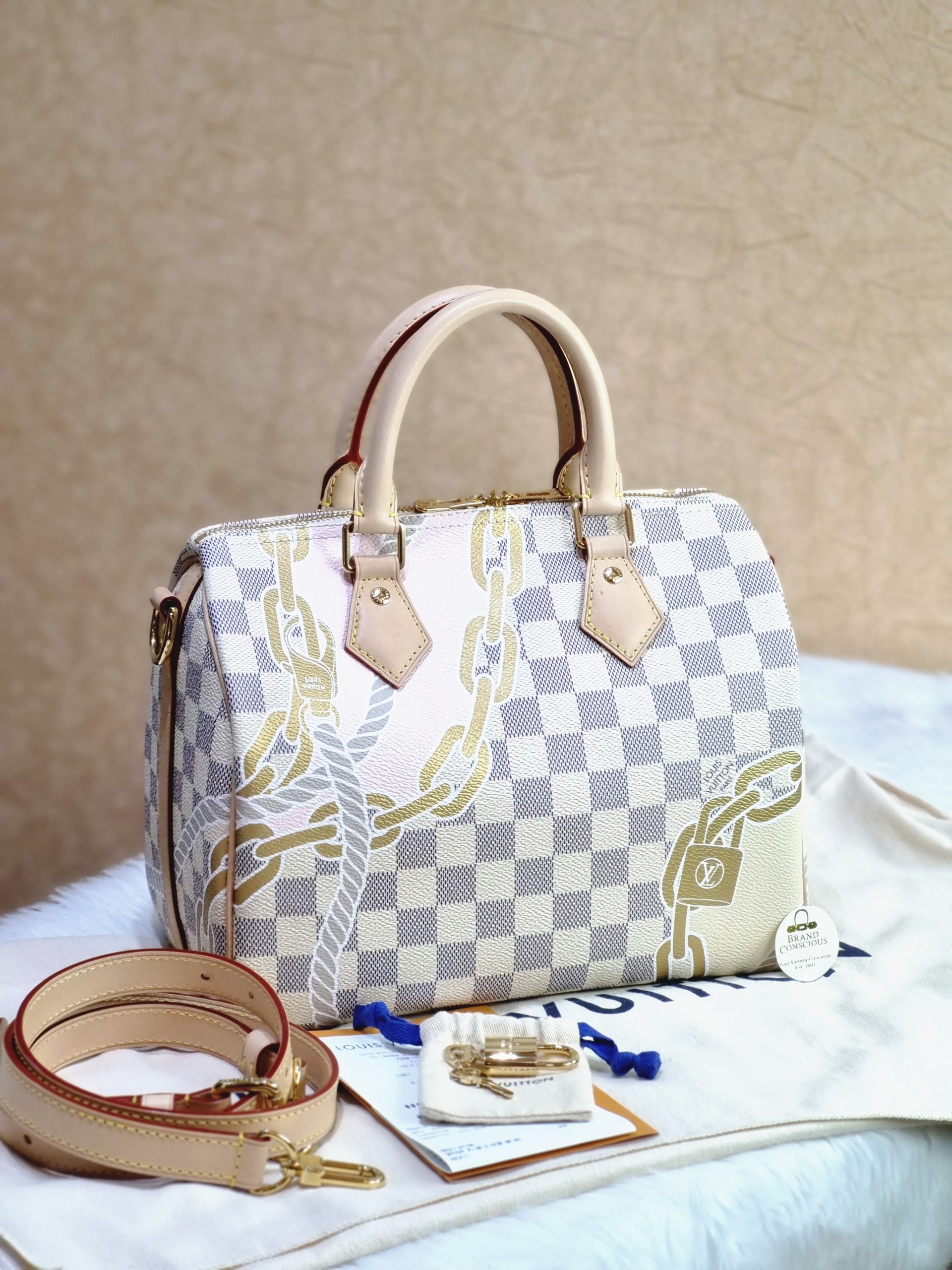 Louis Vuitton Monogram Nano Speedy - BrandConscious Authentics