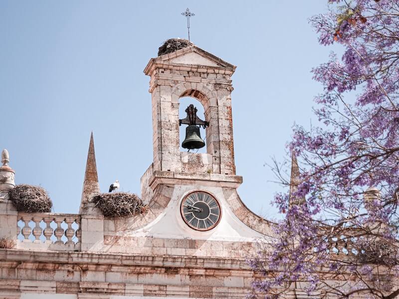 Storchennester auf den Dächern von Faro in Portugal (Bild von micheile von Unsplash)