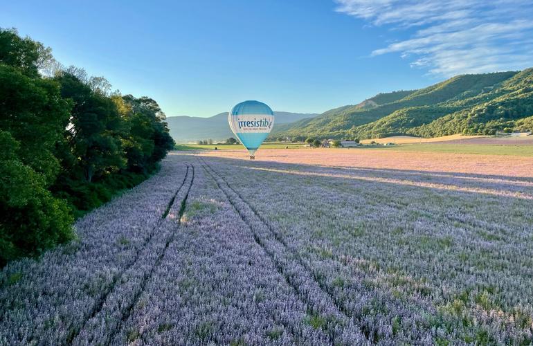 Heissluftballonflug über den Lavendelfeldern der Provence (Bild von Manawa)