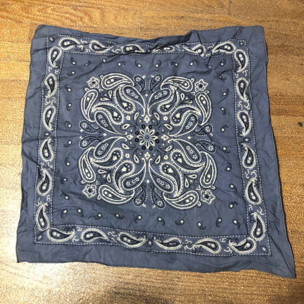 light blue/grey paisley bandana